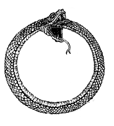 image info